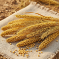Freshly Ground Foxtail Millet Flour