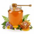 Wild Forest Honey